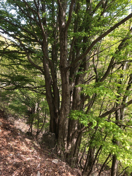 e0338862_20311469.jpg