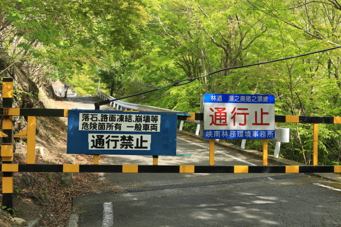 e0338862_20404731.jpg