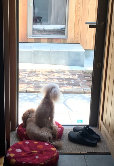 c0120363_10020988.jpeg