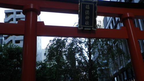 b0371465_13294374.jpg