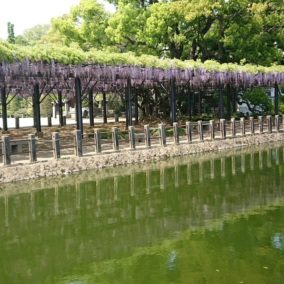 c0100865_05453181.jpg
