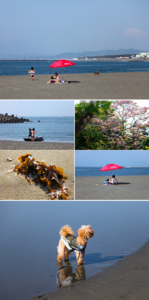 2018/04/22(SUN) 初夏の様なSUN BEACH._a0157069_15031248.jpg