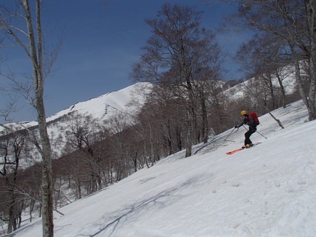 a0344771_19023127.jpg