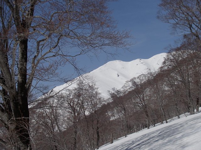a0344771_19033964.jpg