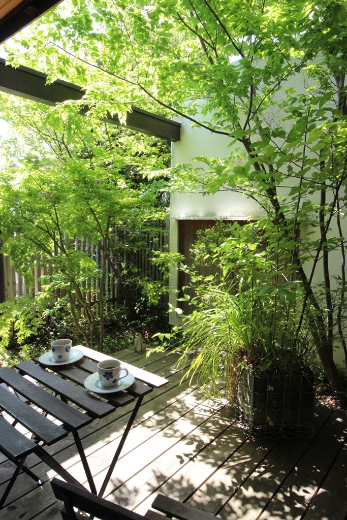 新緑の庭_c0310571_21105981.jpg