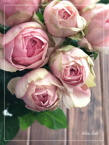 素敵な薔薇 エレガントドレス 花の香りとともに