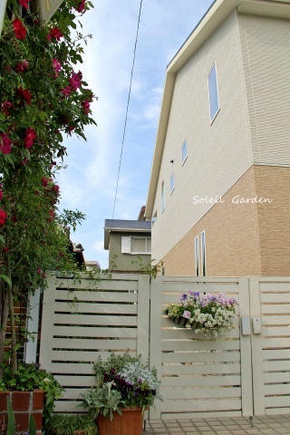 e0154682_20453032.jpg