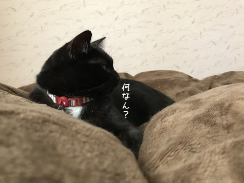a0216583_15310878.png