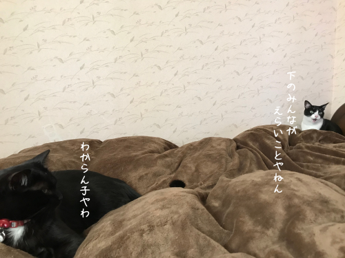 a0216583_15311412.png