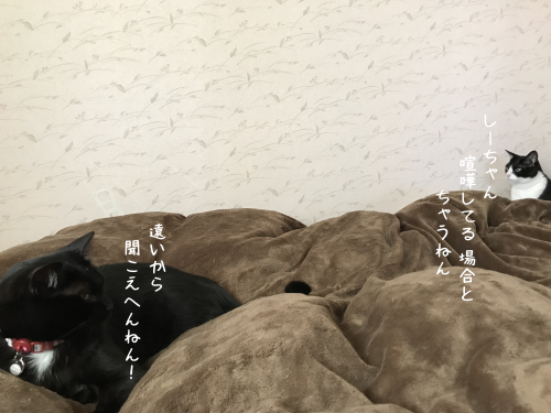 a0216583_15311880.png