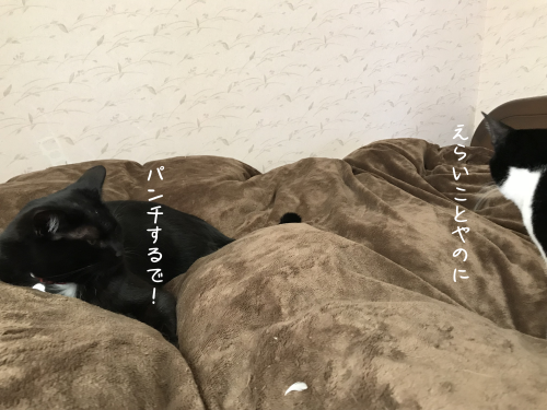a0216583_15312489.png