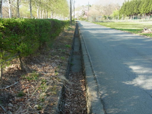 e0008887_10230518.jpg