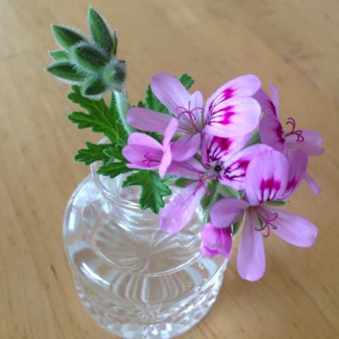 生花の香りと精油の香り_d0233891_15560589.jpg