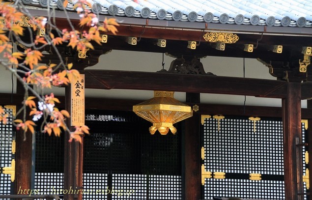 桜紀行　仁和寺の桜　2018_f0374092_17415322.jpg