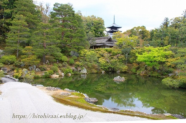 桜紀行　仁和寺の桜　2018_f0374092_17482525.jpg