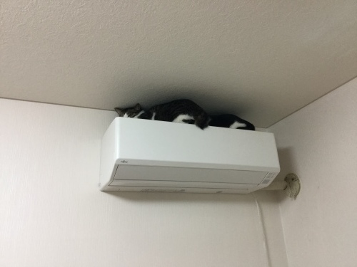 d0179994_03581468.jpeg