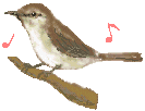 c0090198_17112222.gif