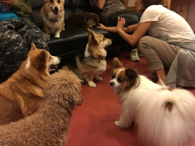 f0034602_21353667.jpeg