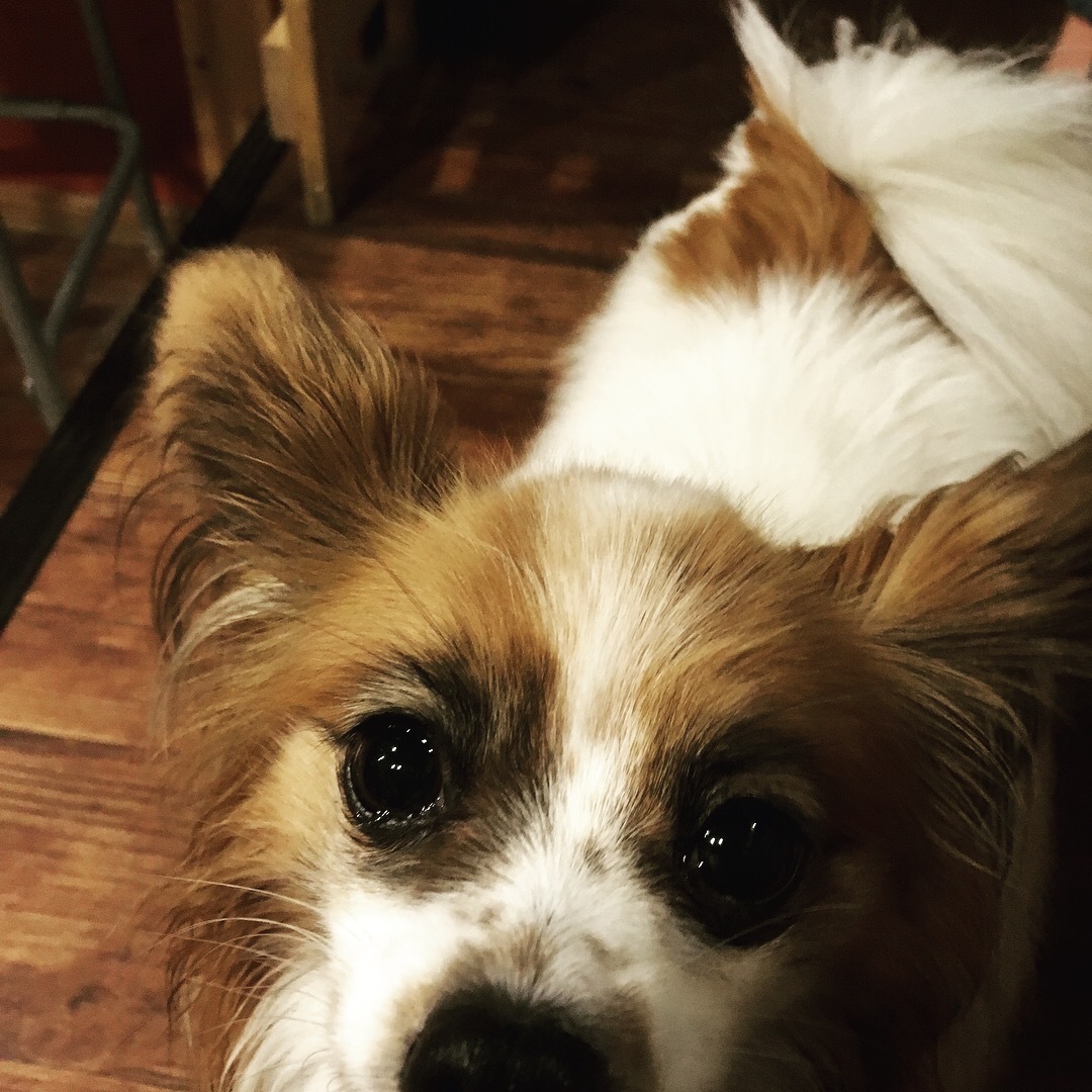 f0034602_21361569.jpeg