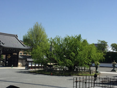 a0140305_01255921.jpg