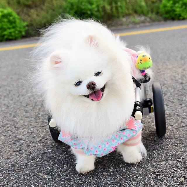 ドキドキがとまらない_d0360206_03192192.jpg