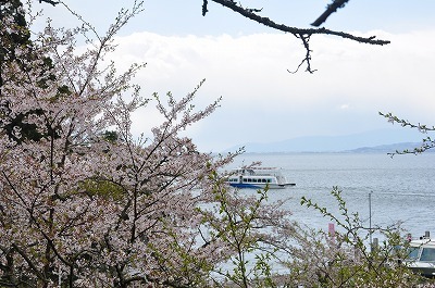 海津大崎の桜’2018_b0143308_21461591.jpg