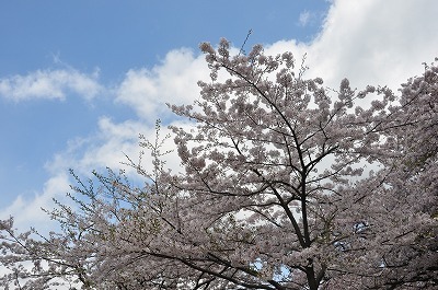 b0143308_21470888.jpg