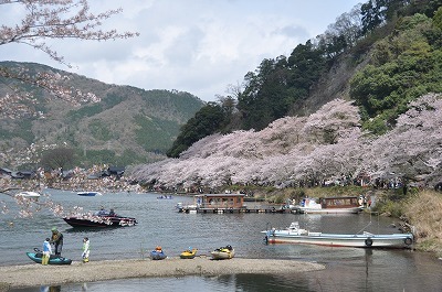 海津大崎の桜’2018_b0143308_21473292.jpg