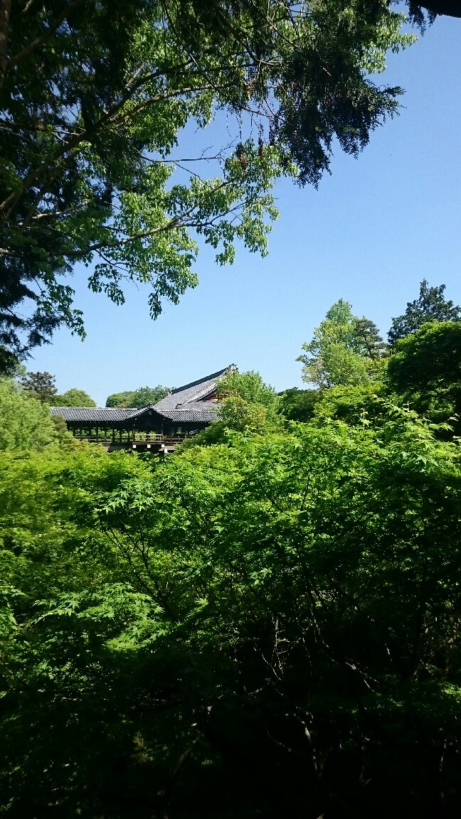 b0031309_21223792.jpg