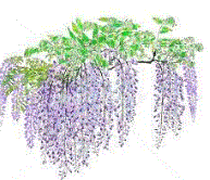f0231709_17485017.gif