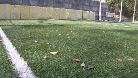 a0059812_12051943.jpg