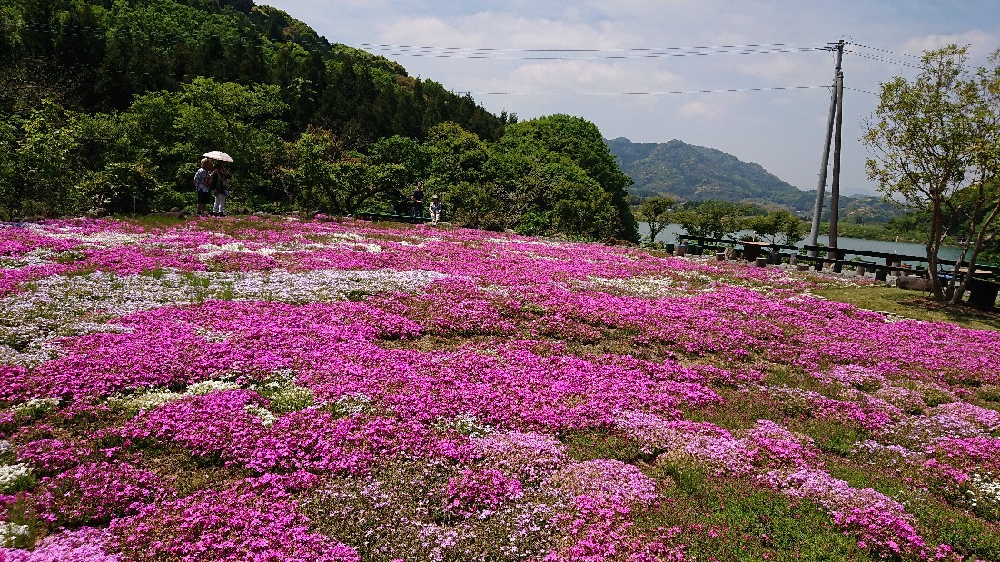 d0326314_06421157.jpg