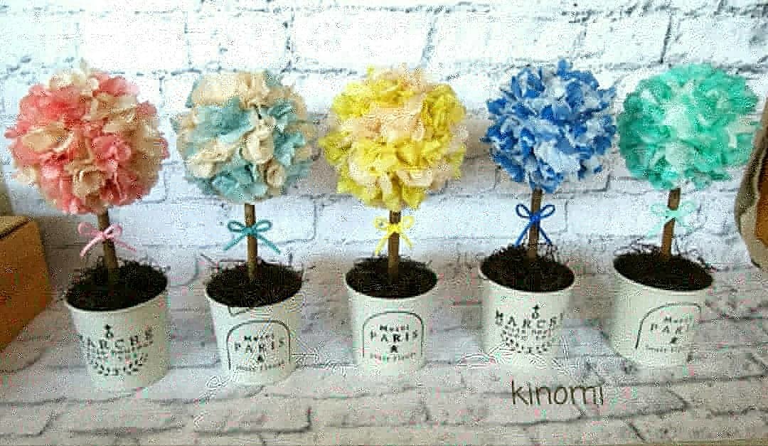 ぺパナプトピアリー 手作り雑貨 観葉植物 Kinomi