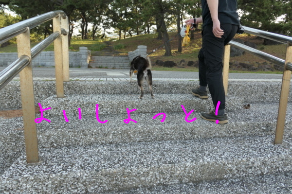 f0369014_09312740.jpg