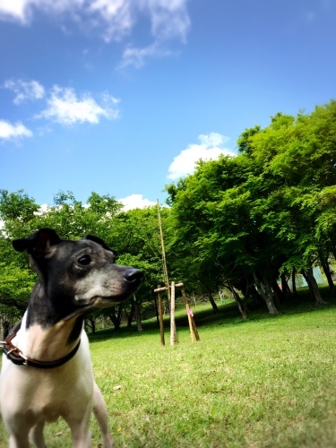 a0200815_07053536.jpeg
