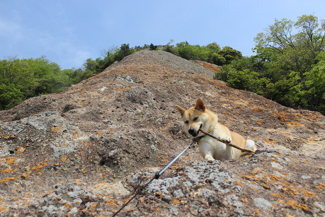 朝から山登り_e0371017_00030034.jpg