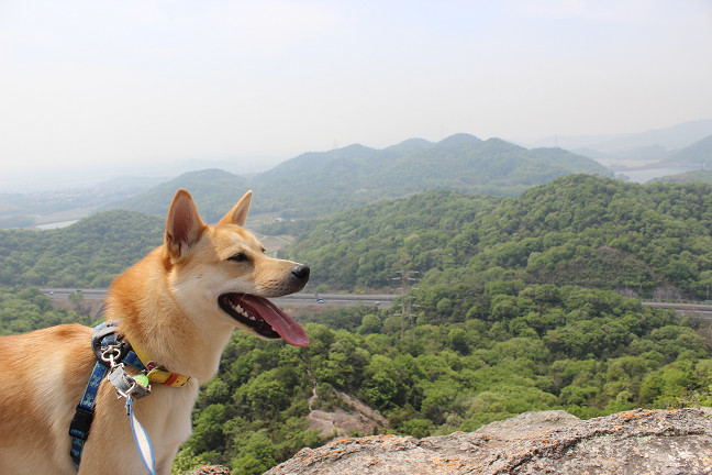 朝から山登り_e0371017_00032817.jpg