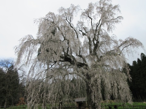 f0149422_22265201.jpg