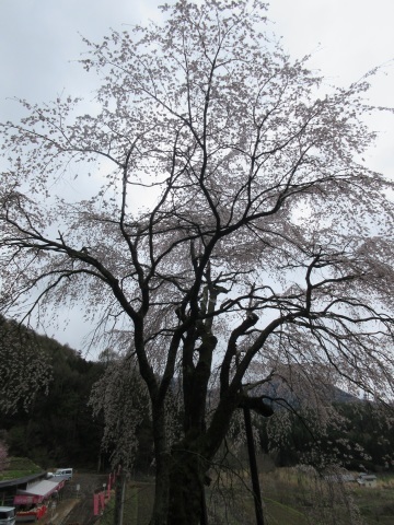 f0149422_22500986.jpg