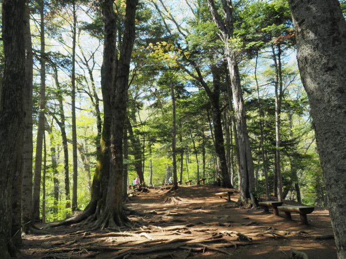 c0284923_10134672.jpg