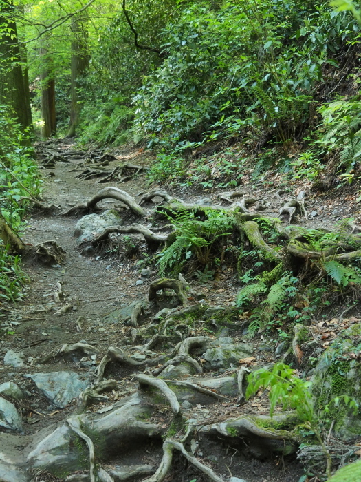 c0284923_10140998.jpg