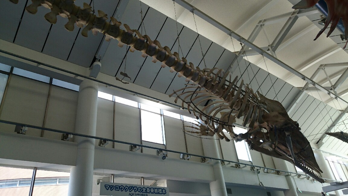 b0251624_14555250.jpg