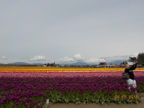 Skagit Valley へ行ってきました。_a0173527_23144210.jpg