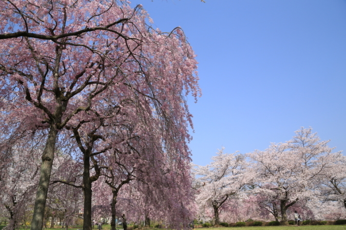 f0229832_08215820.jpg