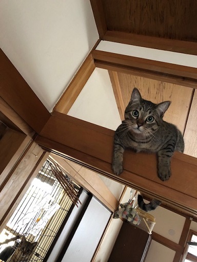 c0367433_08210310.jpeg