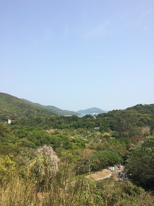 f0371533_18113789.jpg