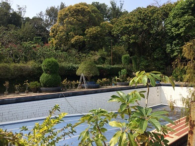 f0371533_18115320.jpg