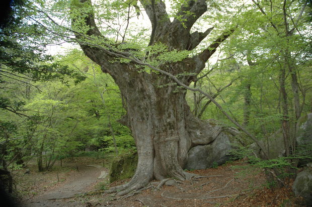 e0272335_20124297.jpg
