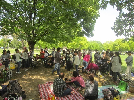 2018ポメラニアン春のオフ会_b0177436_12003859.jpg