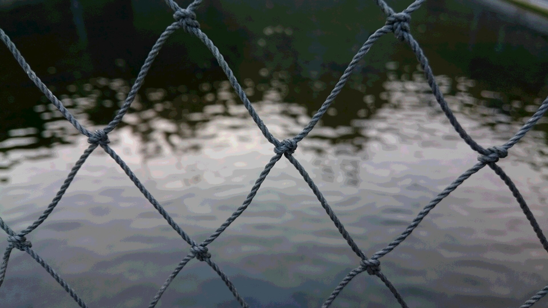 f0202137_215596.jpg
